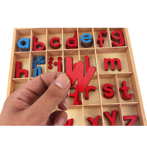 Moveable alphabet - Montessori Language - Wood N Toys