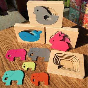 Wooden embedded puzzle - Toddler Educational - Wood N Toys